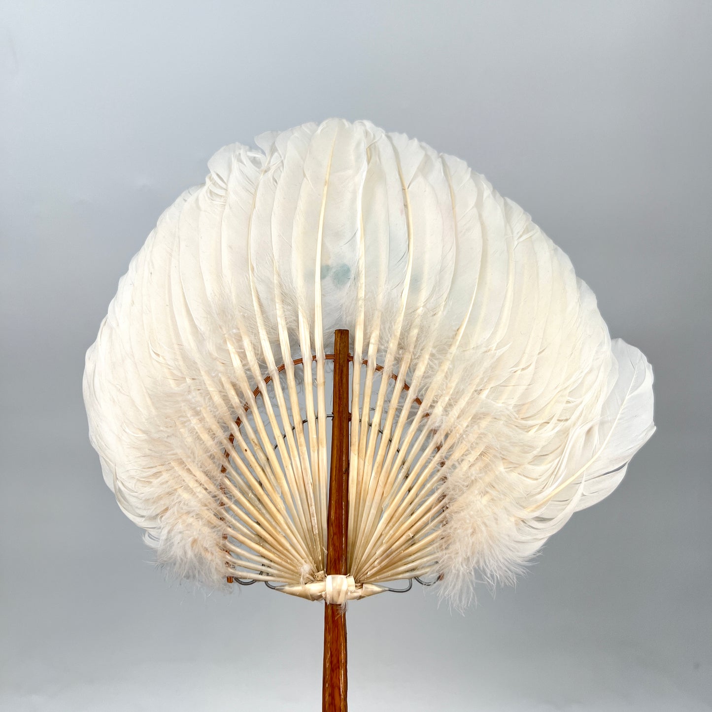 Vintage Feather Painted Hand Fan