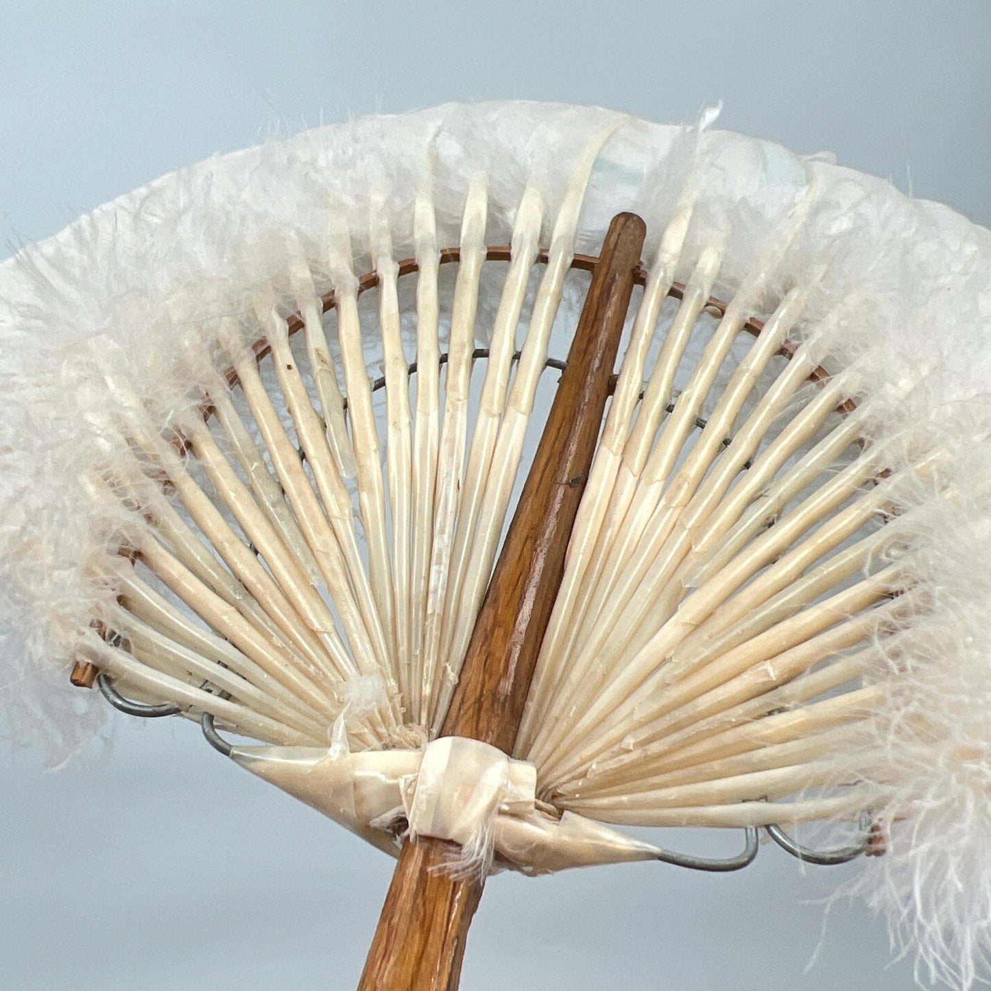 Vintage Feather Painted Hand Fan